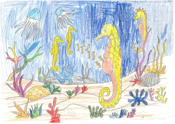 Vorfreude auf ein Wiedersehen mit dem Aquazoo