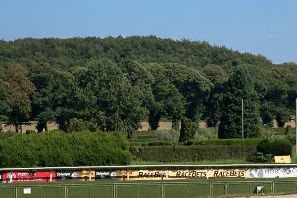 Ein Vormittag auf der Rennbahn