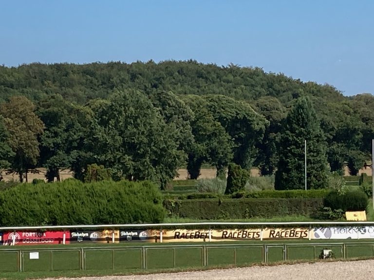 Ein Vormittag auf der Rennbahn